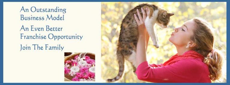City Kitty franchise