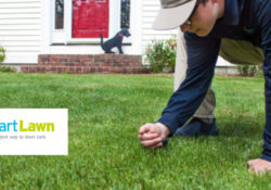 Smart Lawn: The New and Exciting Lawn Care Franchise