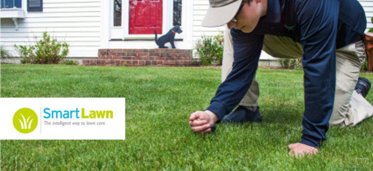 Smart-lawn-franchise--2280x1052_cc