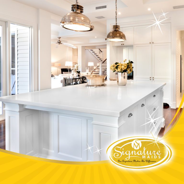 signature maids franchise