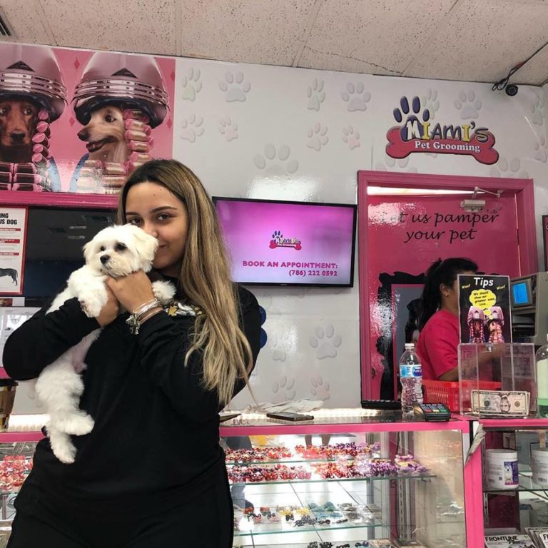 miamis pet grooming franchise