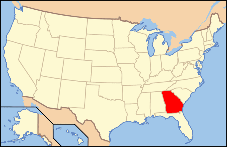 ga franchise registration