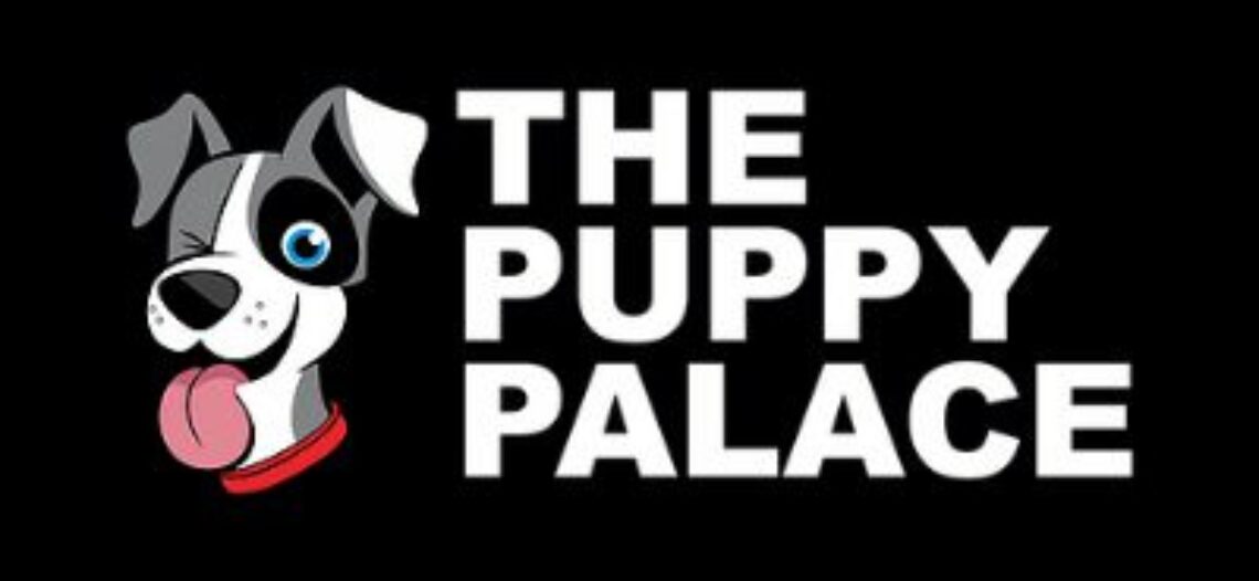 The Puppy Palace Franchise Launch