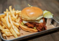 Chuck’s Hot Chicken Franchise Introduction