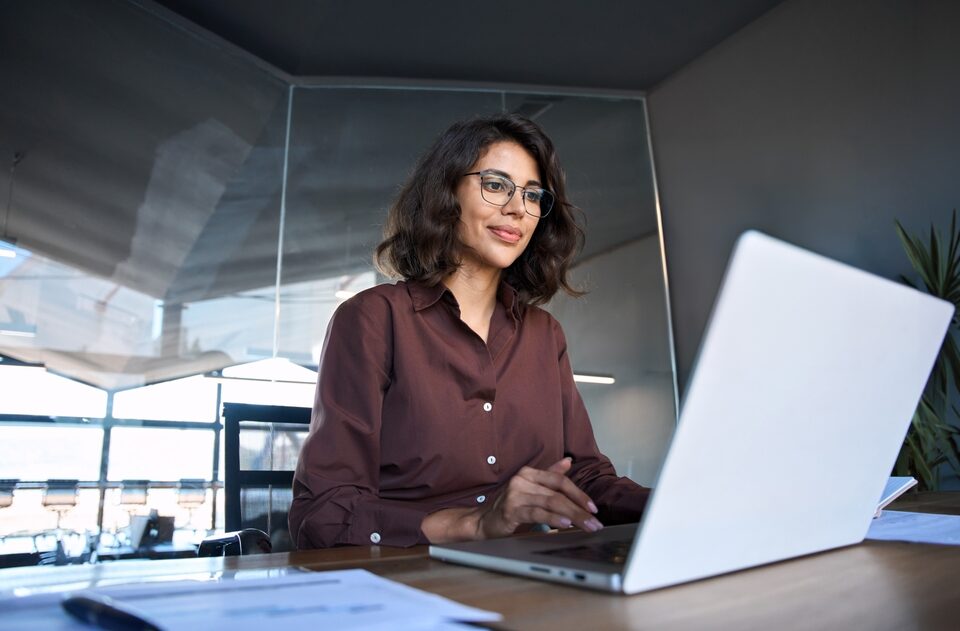 Search Business Entities on in All 50 States