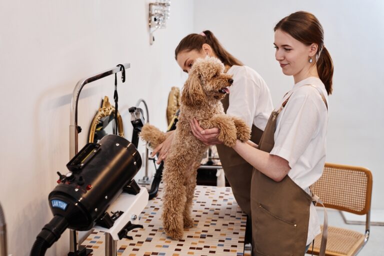 Starting a Dog and Pet Services Franchise: Exploring Models, Segments, and Success Strategies
