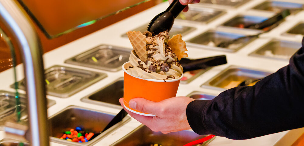 The Frozen Yogurt Industry and the Growth of Franchising in the Category