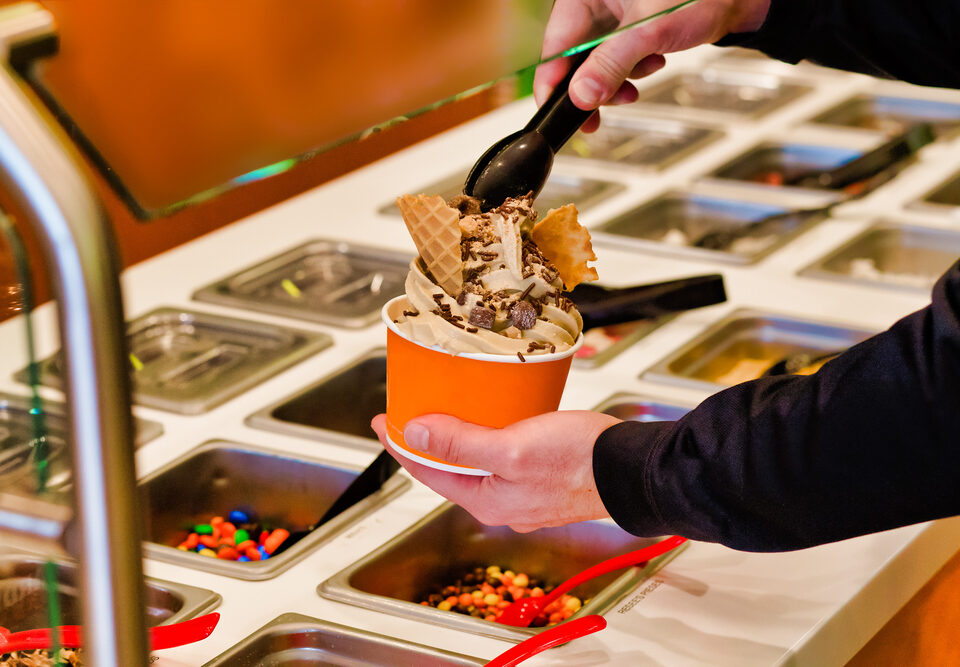 The Frozen Yogurt Industry and the Growth of Franchising in the Category